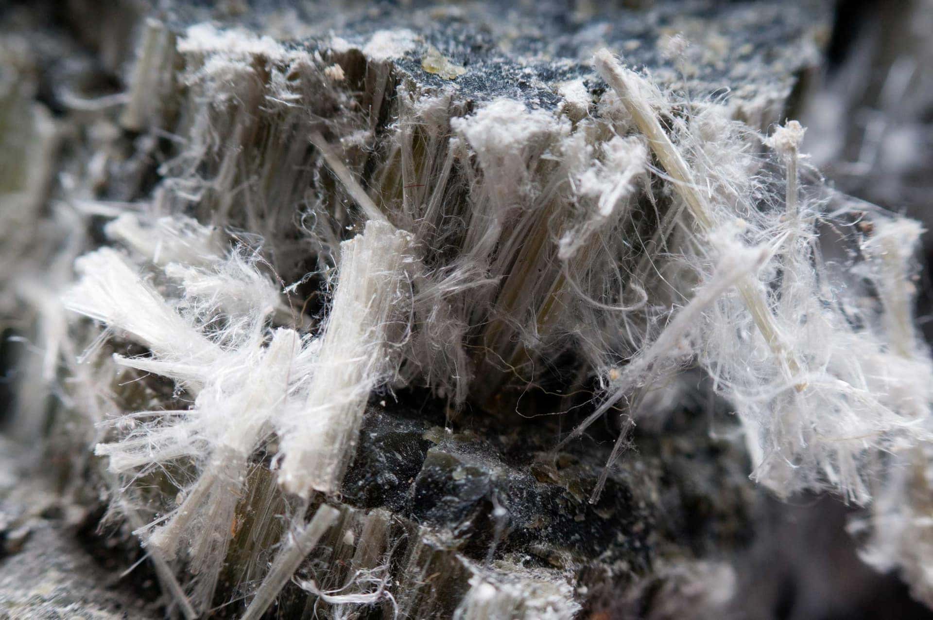 Macro view of loose asbestos fibres