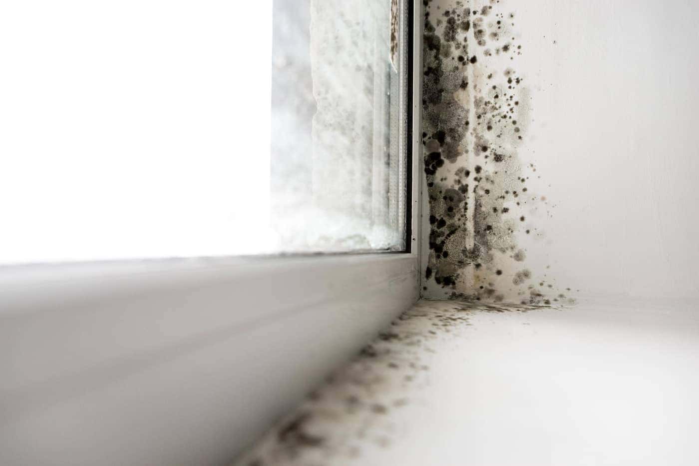 Why Treating Mould Isn't Enough: A Common Problem in Older UK Housing Stock