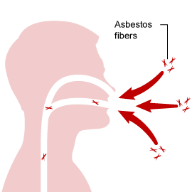 asbestos-fibers